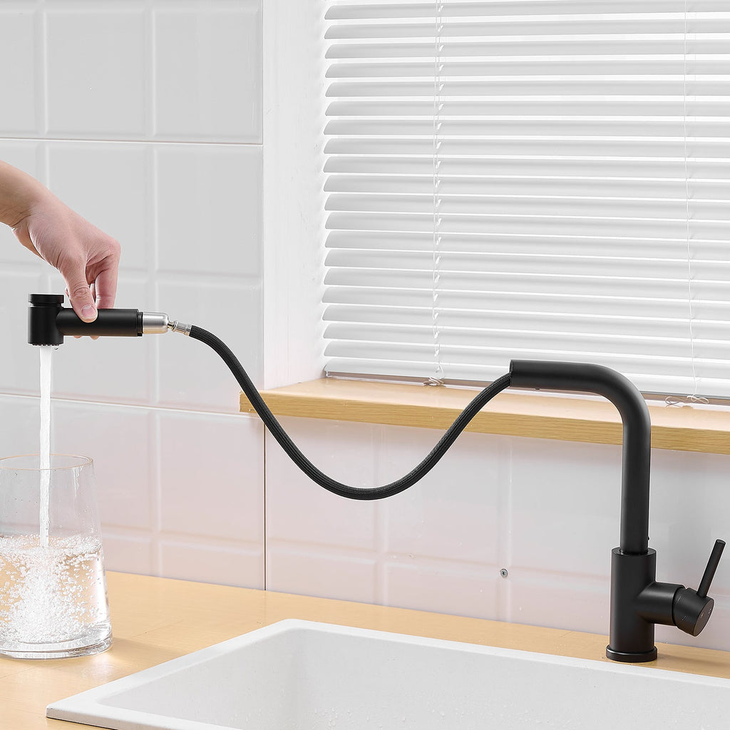 Black Kitchen Sink Faucet with Pull Out Sprayer