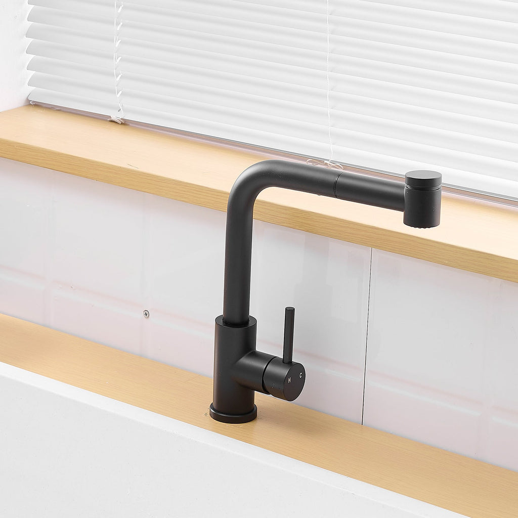Black Kitchen Sink Faucet with Pull Out Sprayer