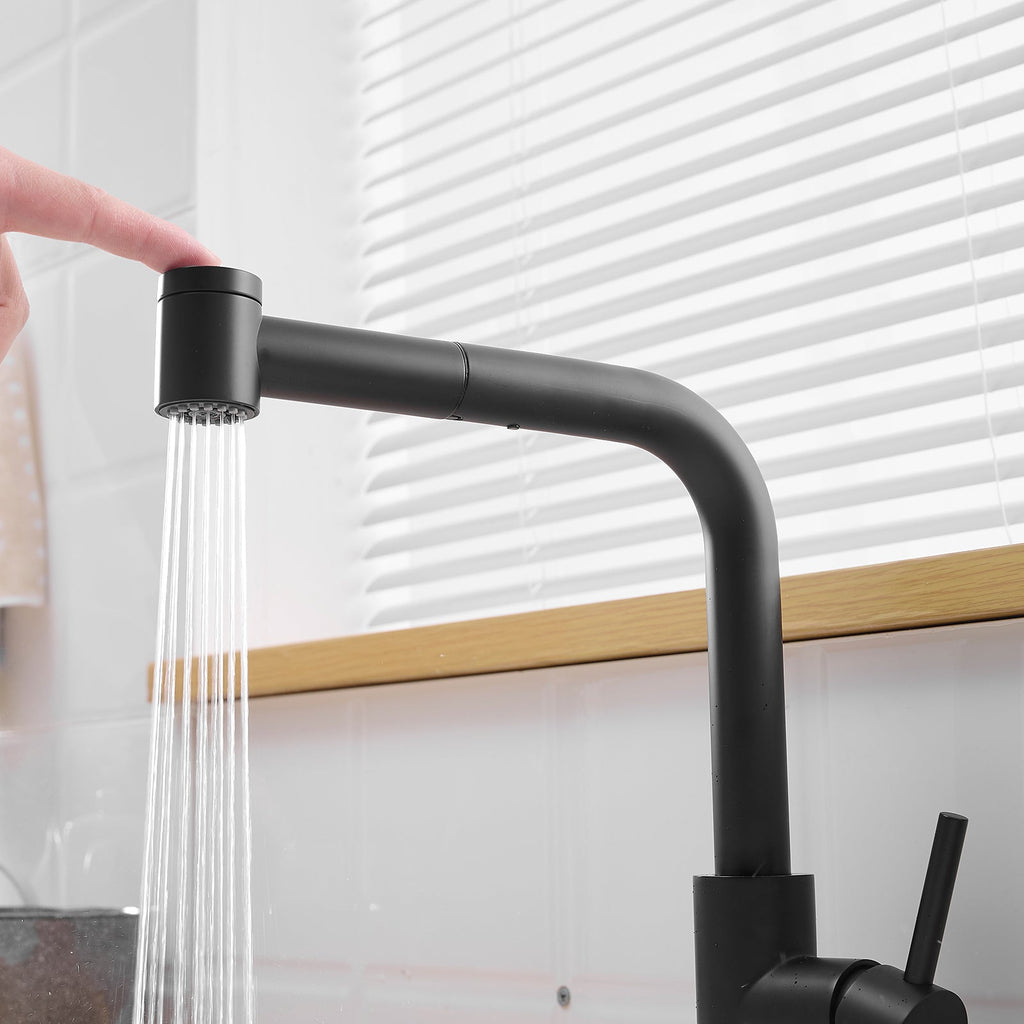 Black Kitchen Sink Faucet with Pull Out Sprayer