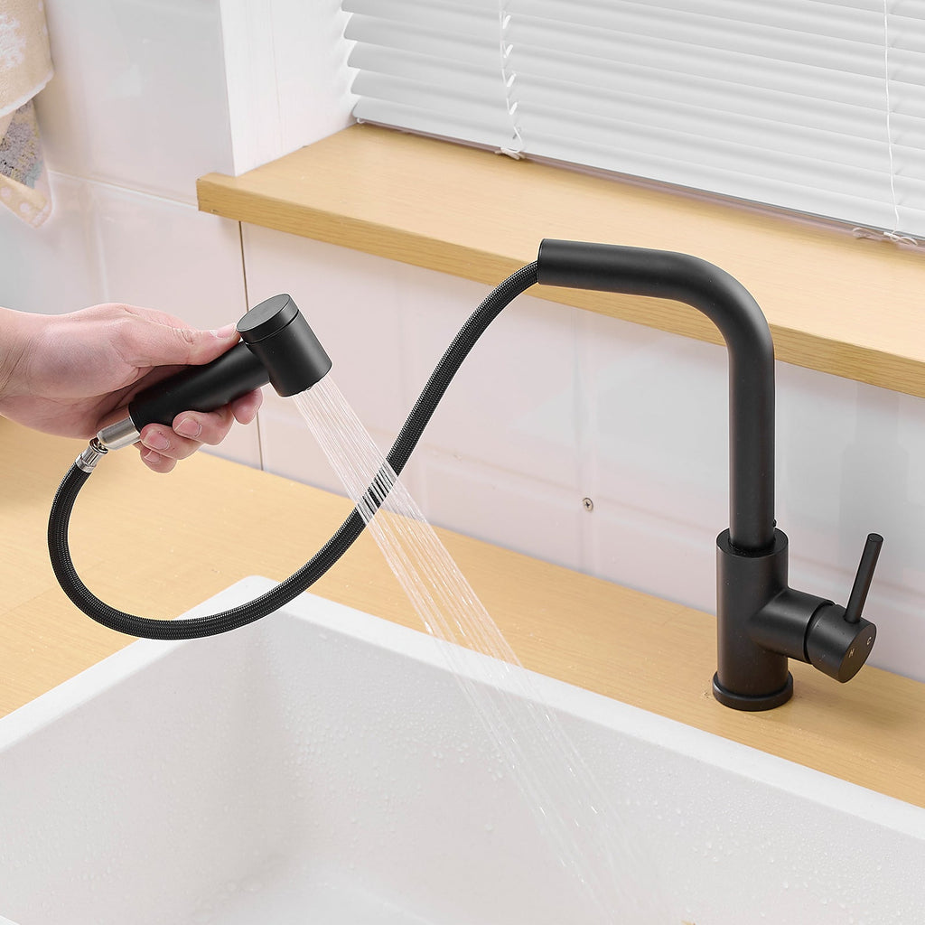 Black Kitchen Sink Faucet with Pull Out Sprayer