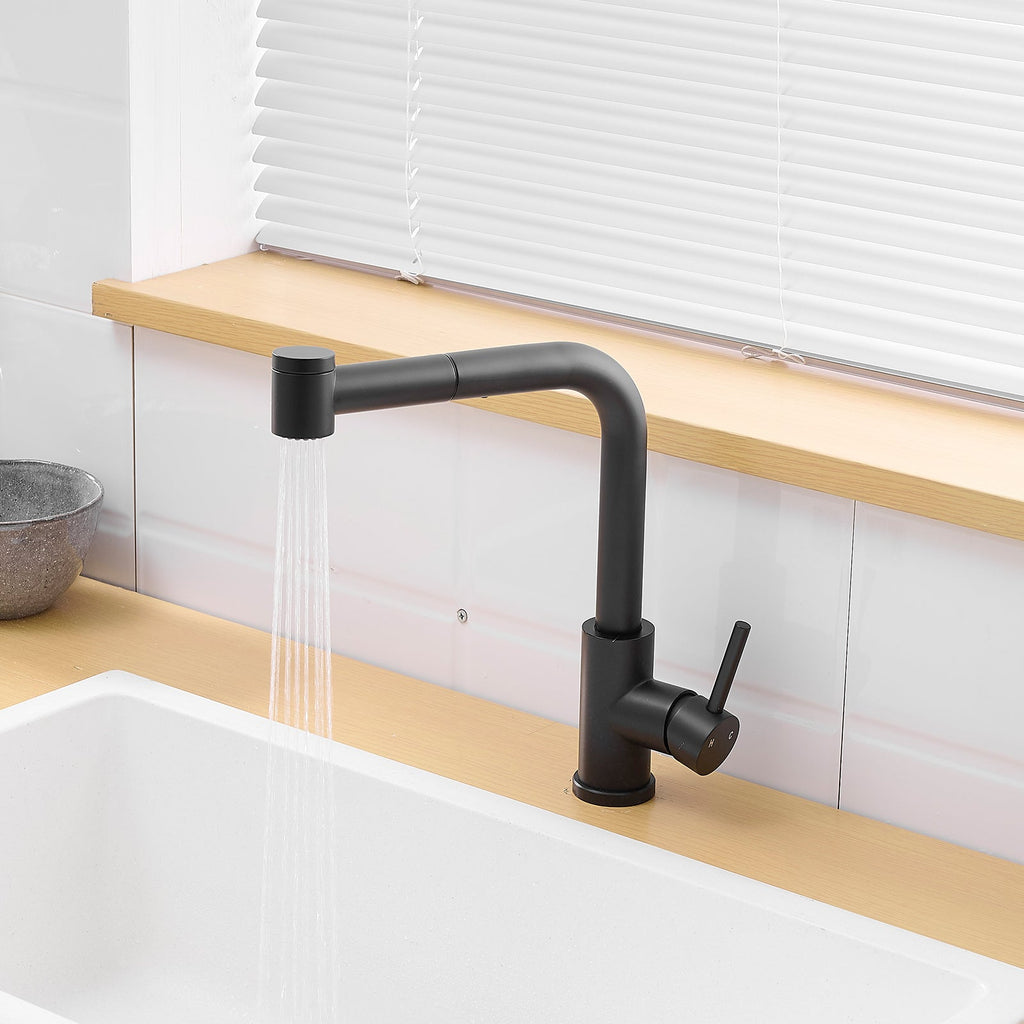 Black Kitchen Sink Faucet with Pull Out Sprayer