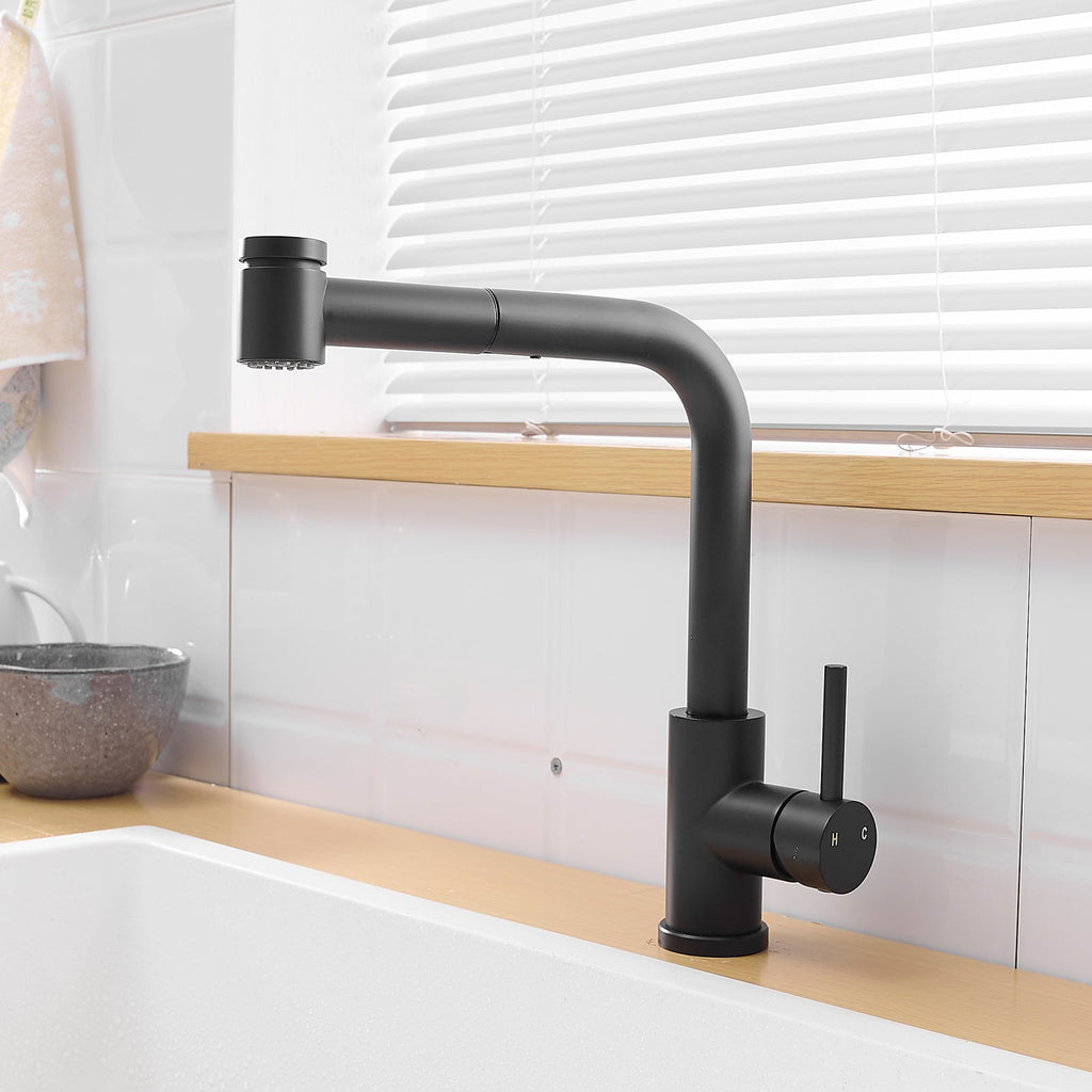 Black Kitchen Sink Faucet with Pull Out Sprayer