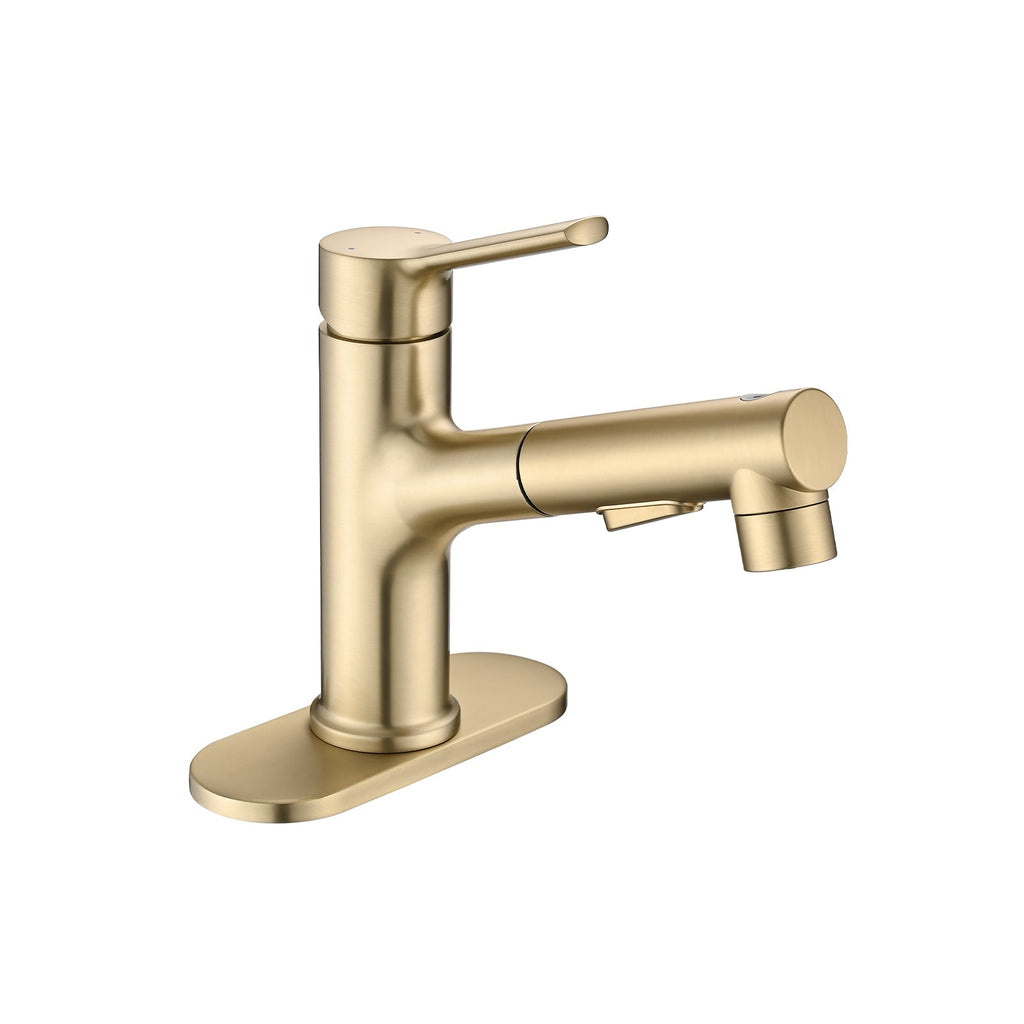 Brushed Gold Single Handle Pull Out Sprayer Bathroom Faucet