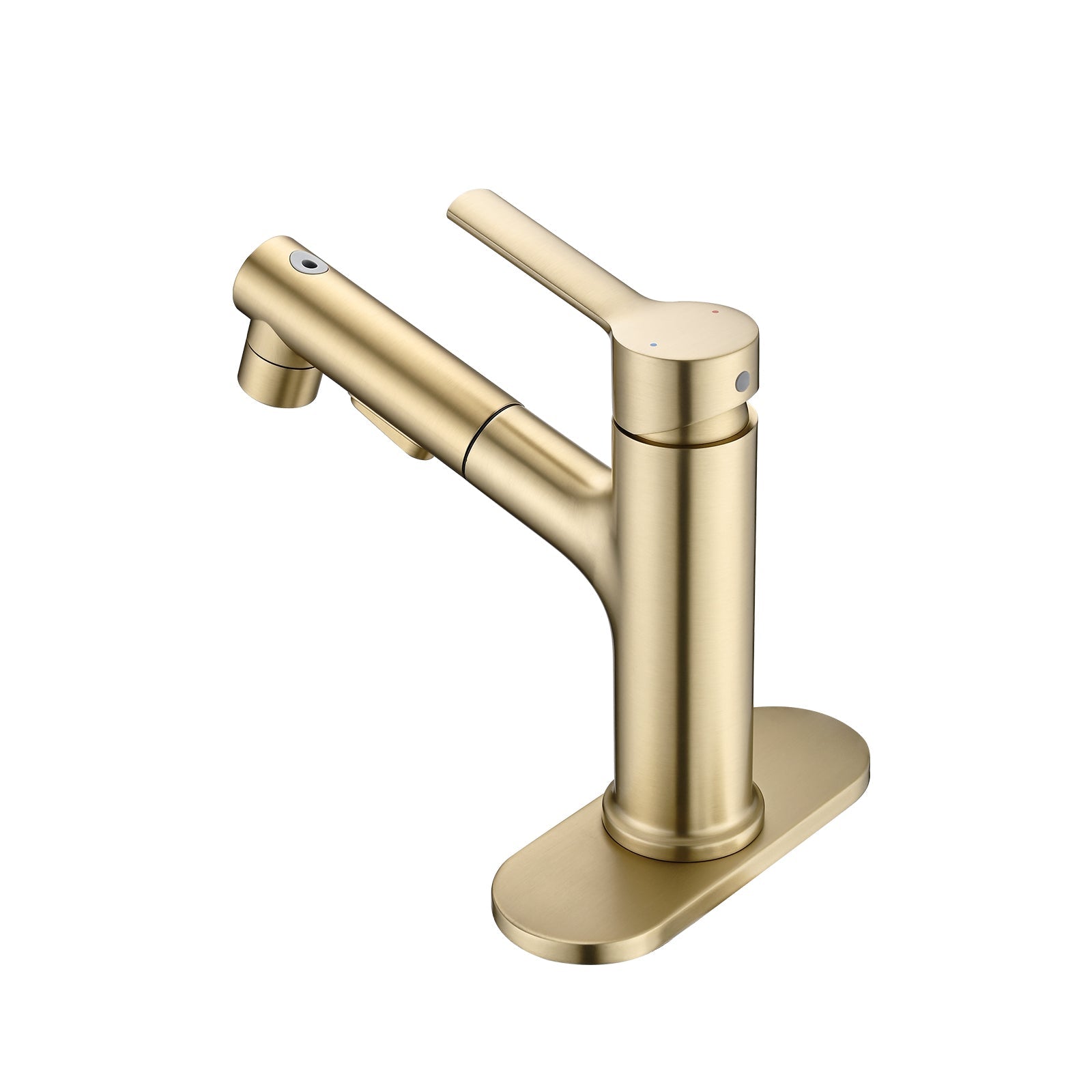 Brushed Gold Single Handle Pull Out Sprayer Bathroom Faucet