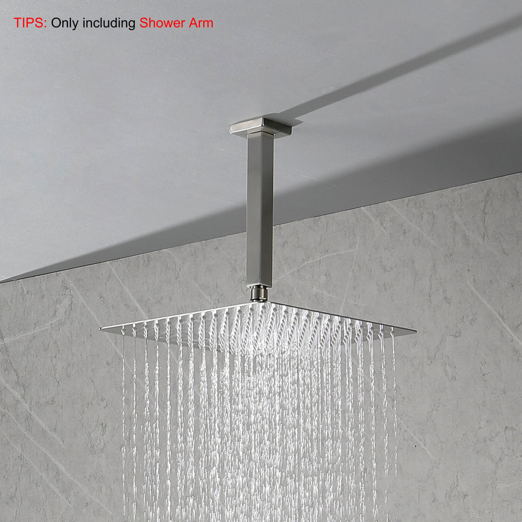 1/2 NPT Shower Arm with Flange, Ceiling Mounted Rain Head