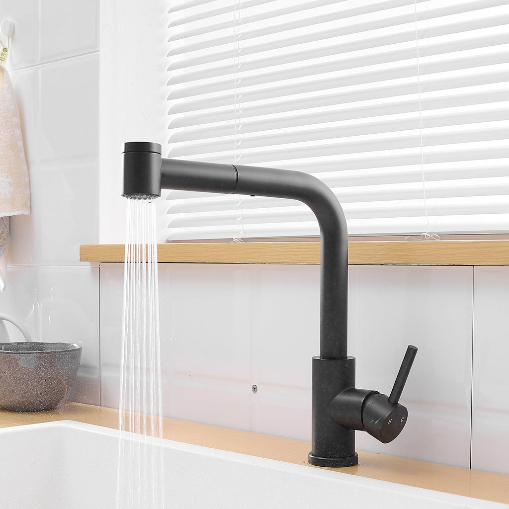 Black Kitchen Sink Faucet with Pull Out Sprayer