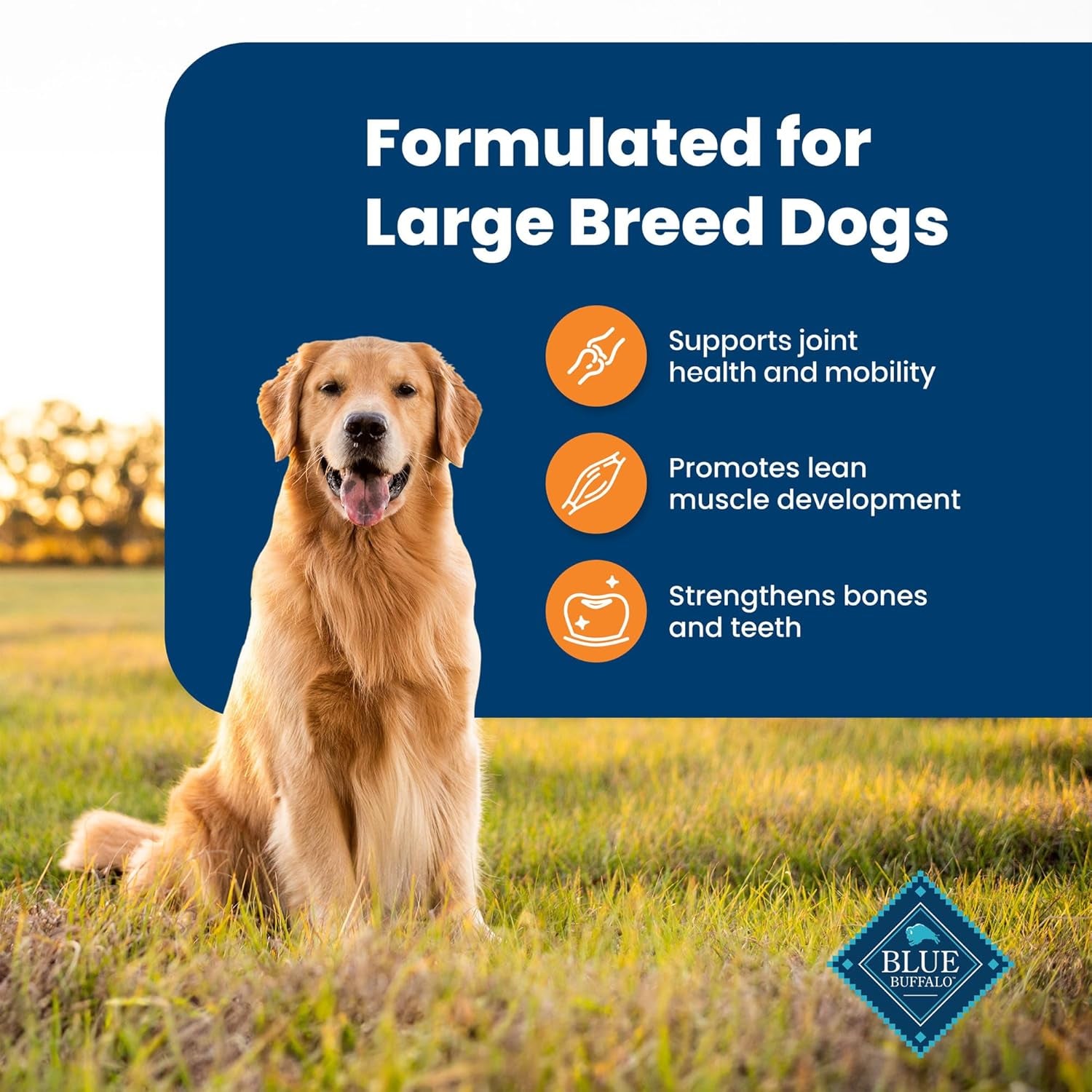 Blue Buffalo Life Protection Formula Large Breed Adult Dry Dog Food