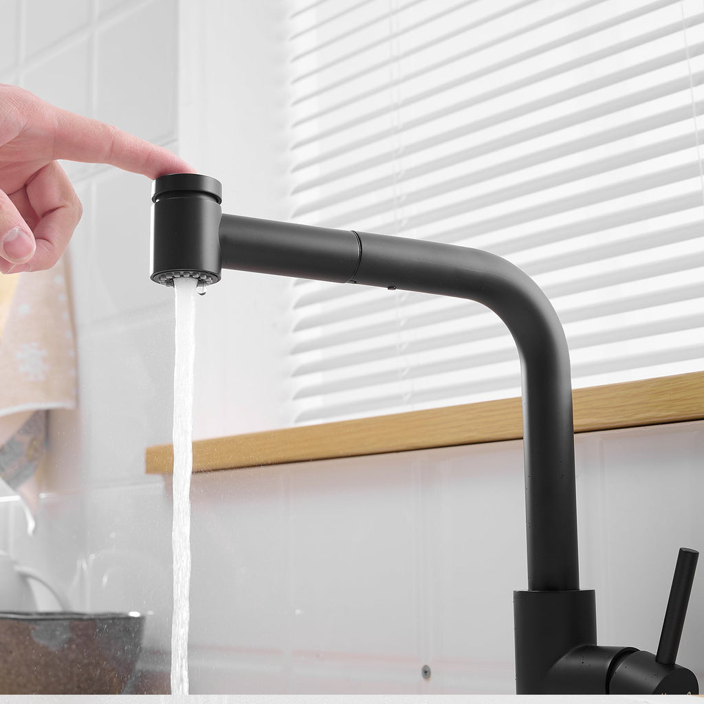 Black Kitchen Sink Faucet with Pull Out Sprayer